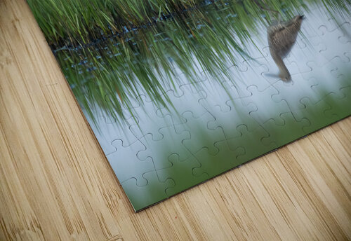 DSC01593 Edit 2 Razak Photography puzzle