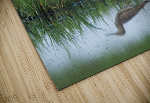 DSC01593 Edit 3 Razak Photography puzzle