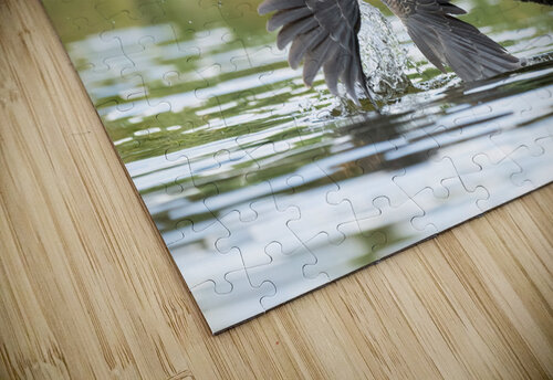 DSC04714 Edit 2 Razak Photography puzzle