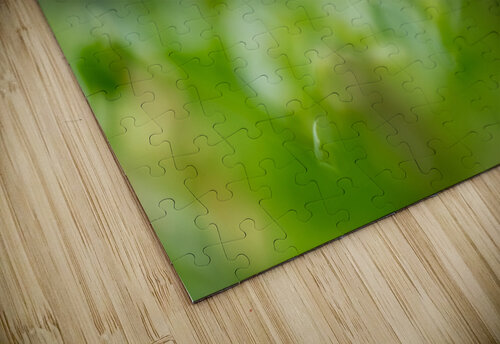 DSC06004 Edit 6 Razak Photography puzzle