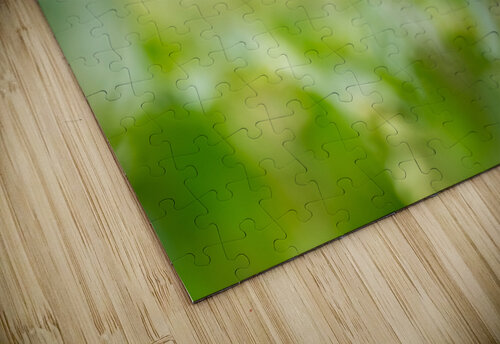 DSC06012 Edit 2 Razak Photography puzzle