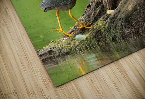 DSC03183 Edit 5 Razak Photography puzzle