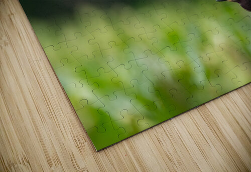 DSC06011 Edit 2 Razak Photography puzzle