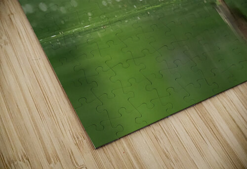 DSC05973 Edit 2 Razak Photography puzzle