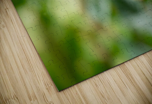 DSC05995 Edit Razak Photography puzzle