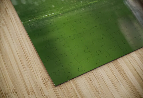 DSC05972 Edit 2 Razak Photography puzzle