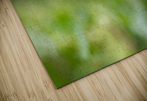 DSC06011 Edit 6 Razak Photography puzzle