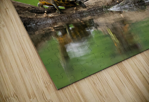 DSC02464 Edit 2 Razak Photography puzzle