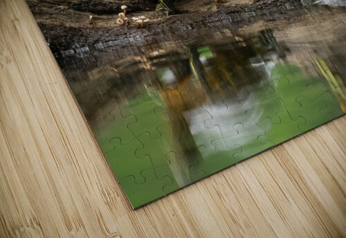 DSC02464 Edit 6 Razak Photography puzzle