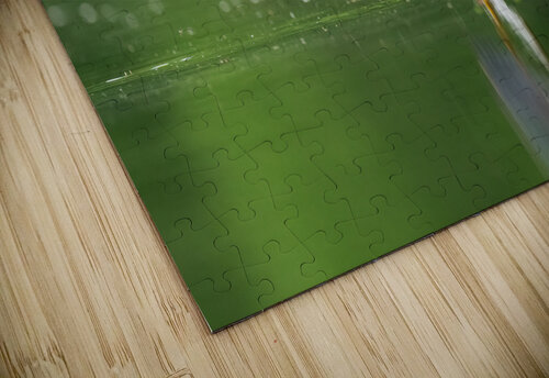 DSC05974 Edit 2 Razak Photography puzzle