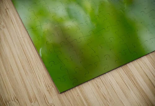 DSC06003 Edit Razak Photography puzzle