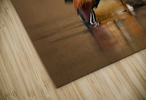 DSC08753 Edit 2 2 Razak Photography puzzle