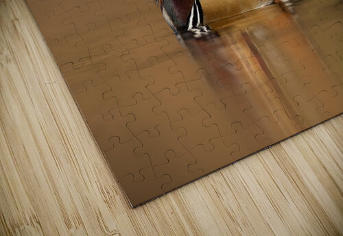 DSC08789 Edit Razak Photography puzzle