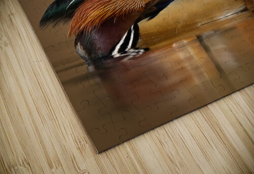 DSC08753 Edit 2 3 Razak Photography puzzle