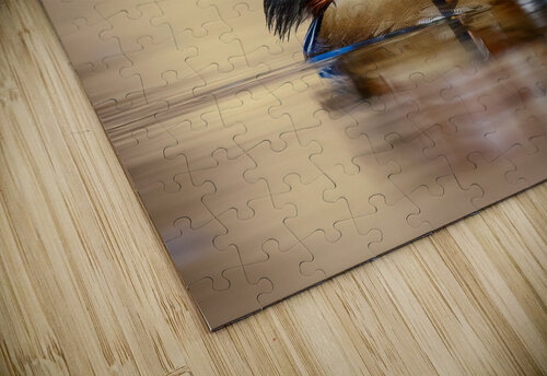 DSC03478 Edit Razak Photography puzzle