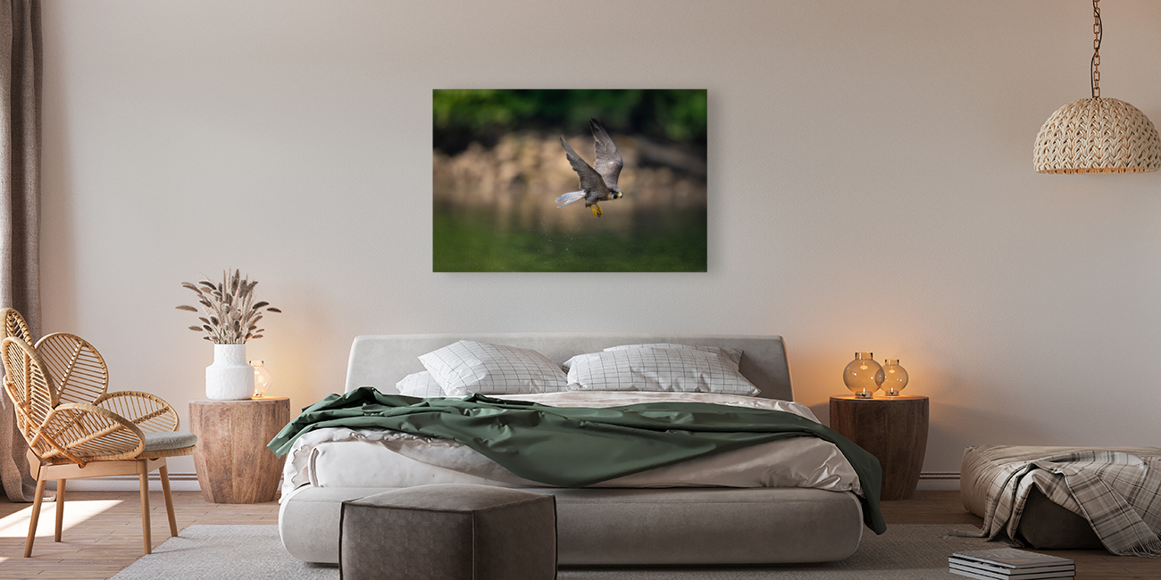 Falcon in Flight Reproduction
