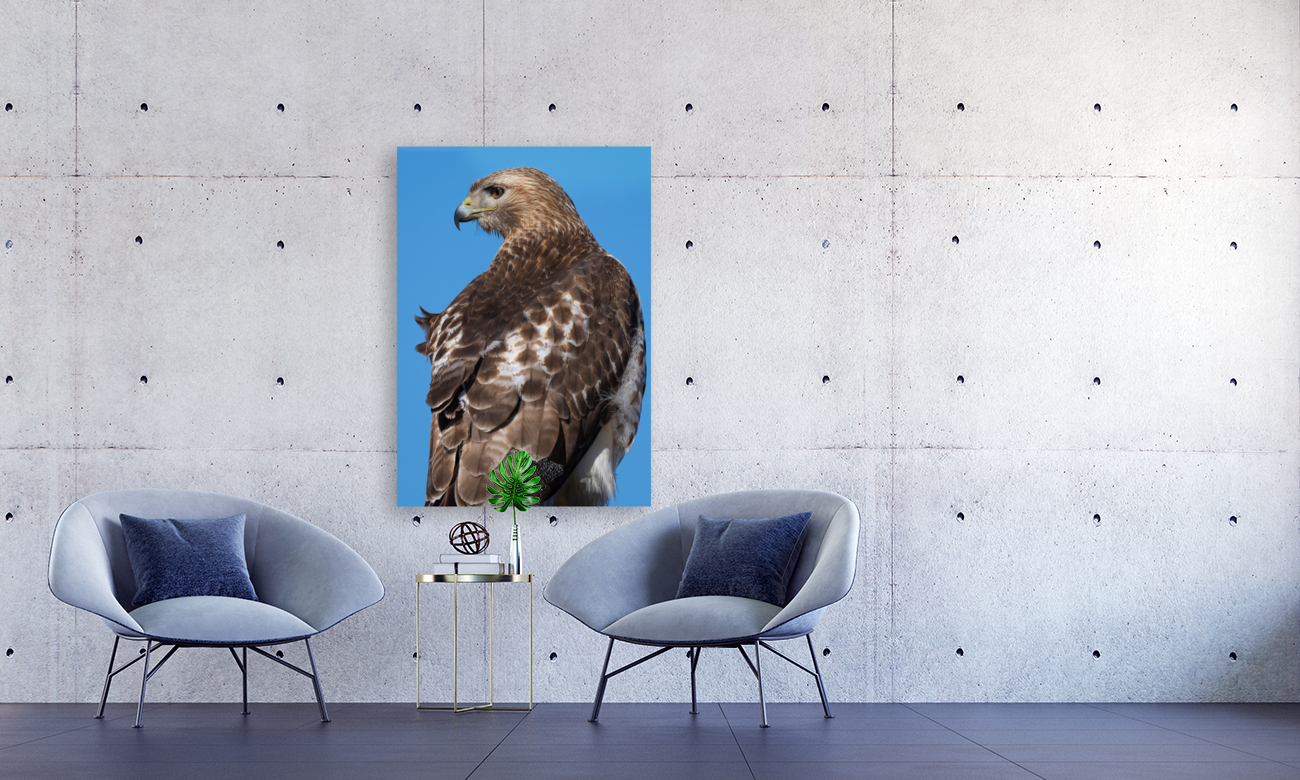 DSC08569 Edit 2 Reproduction