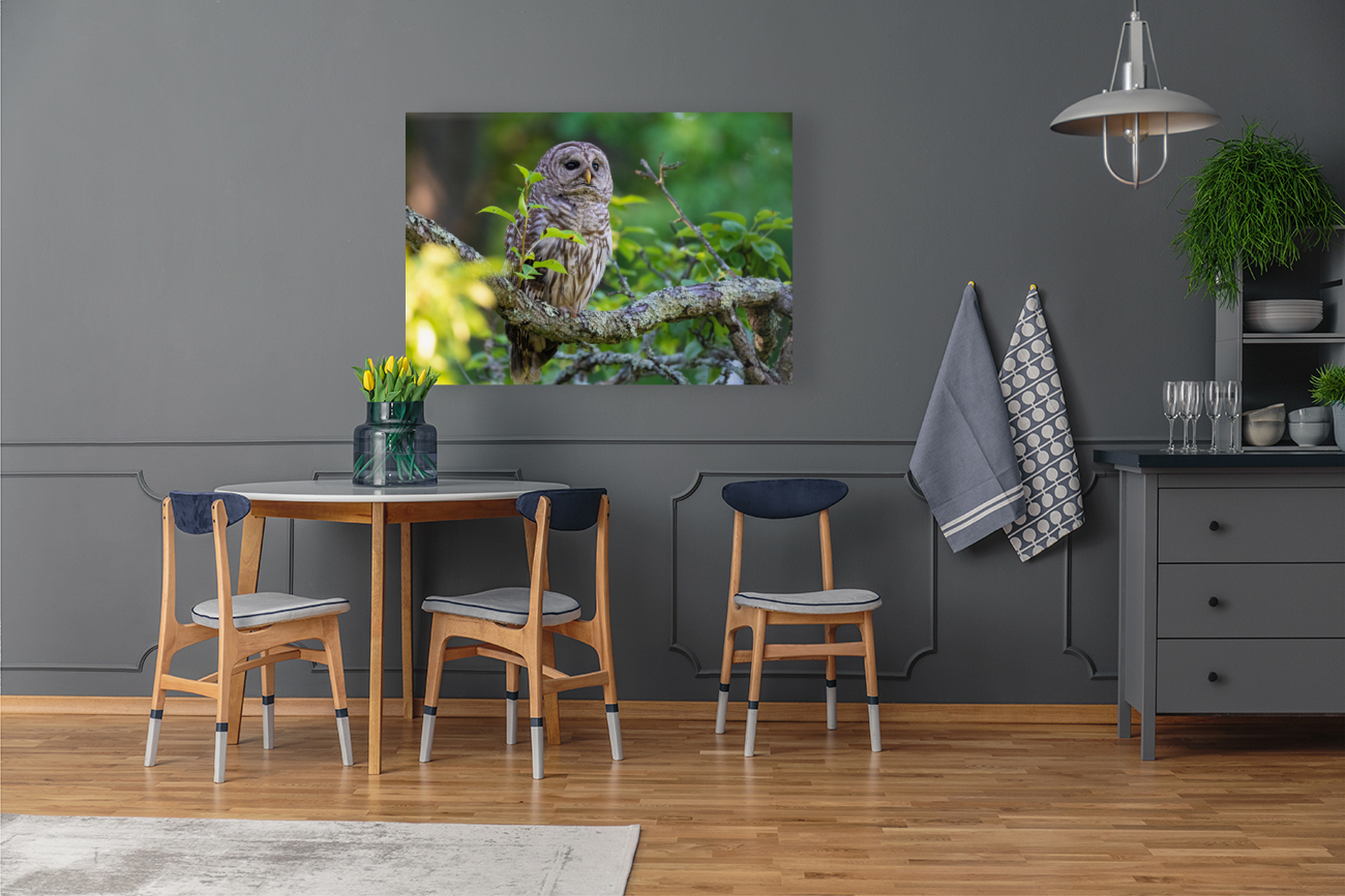 DSC09176 Edit 2 Reproduction