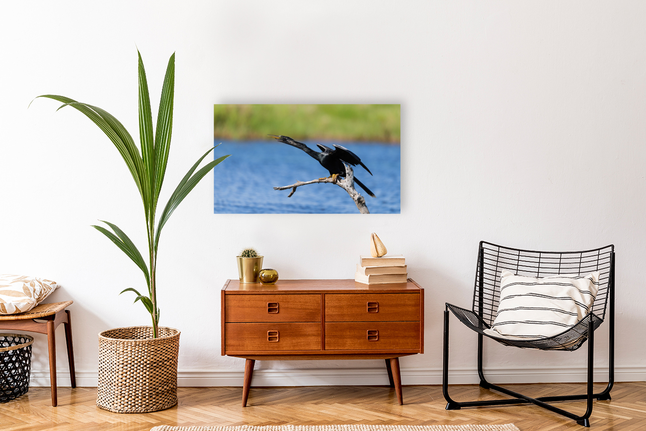 DSC00332 Edit Reproduction