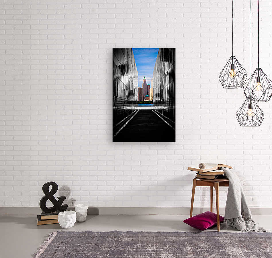 DP2L8681 Edit Reproduction
