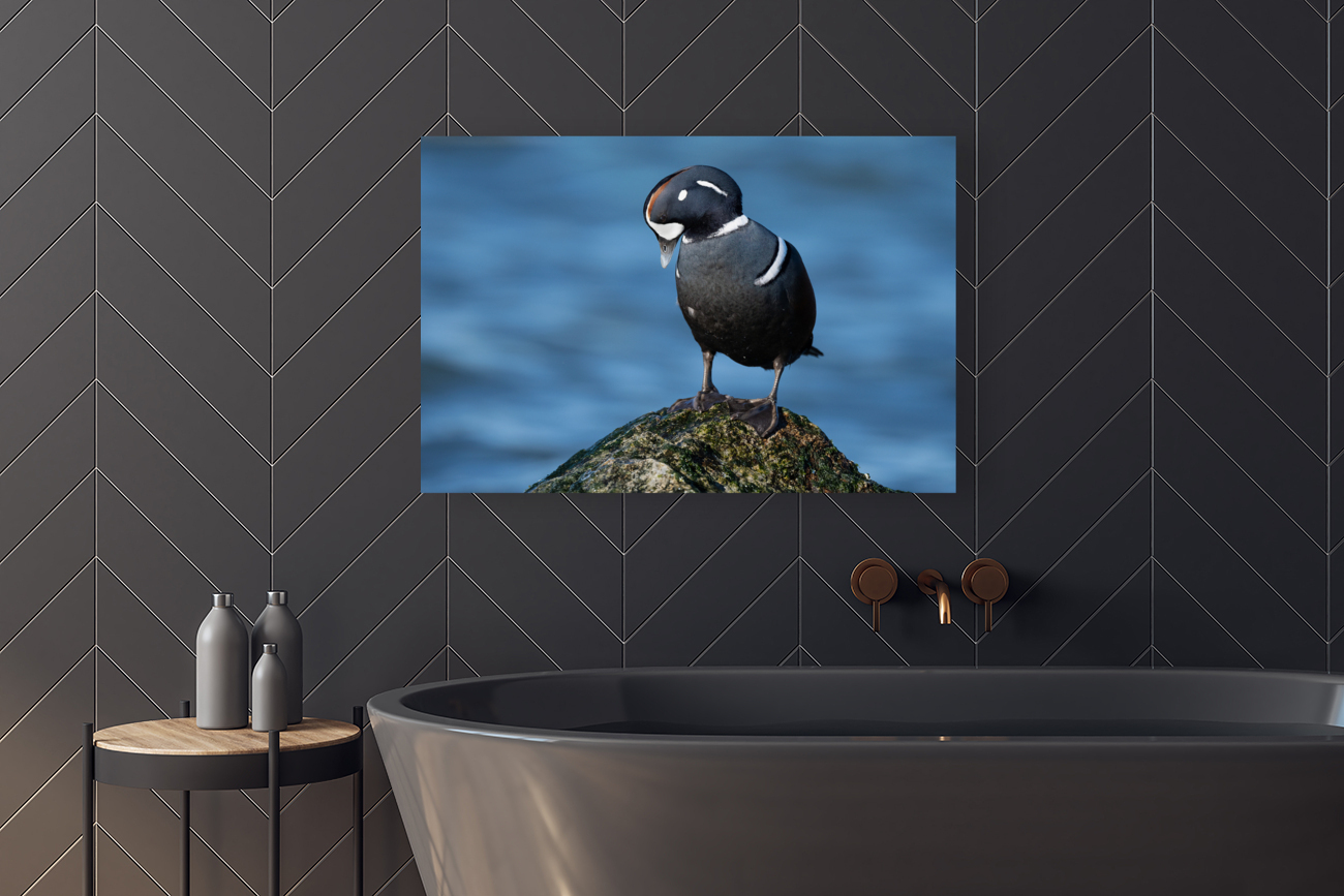 DSC01472 Edit 3 Reproduction