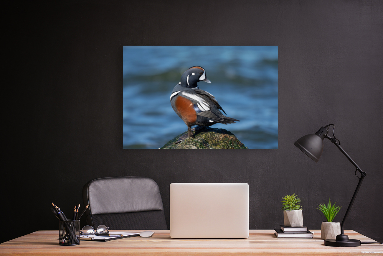 DSC09454 Edit Reproduction