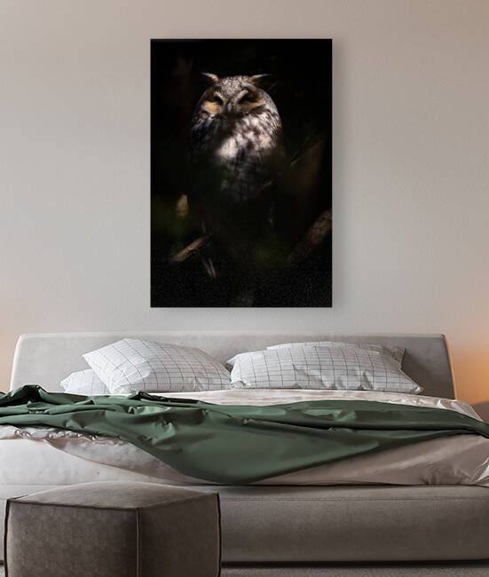 A29I0804 Edit 2 7 by Razak Photography