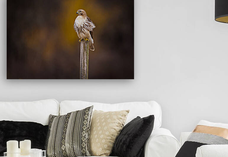 DSC06601 Edit 2 by Razak Photography