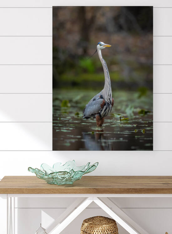 DSC06006 Edit by Razak Photography