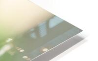 A29I5834 Edit 4 HD Metal print