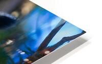 A29I7804 Edit 3 HD Metal print