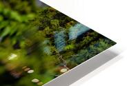 AC3Y6913 Edit HD Metal print