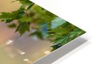 AC3Y8975 Edit1 HD Metal print
