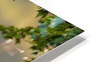 AC3Y8990 Edit 2 HD Metal print