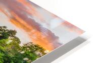 20140728  KM 0228 Edit HD Metal print