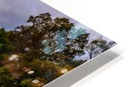 DP2L5377 Edit HD Metal print