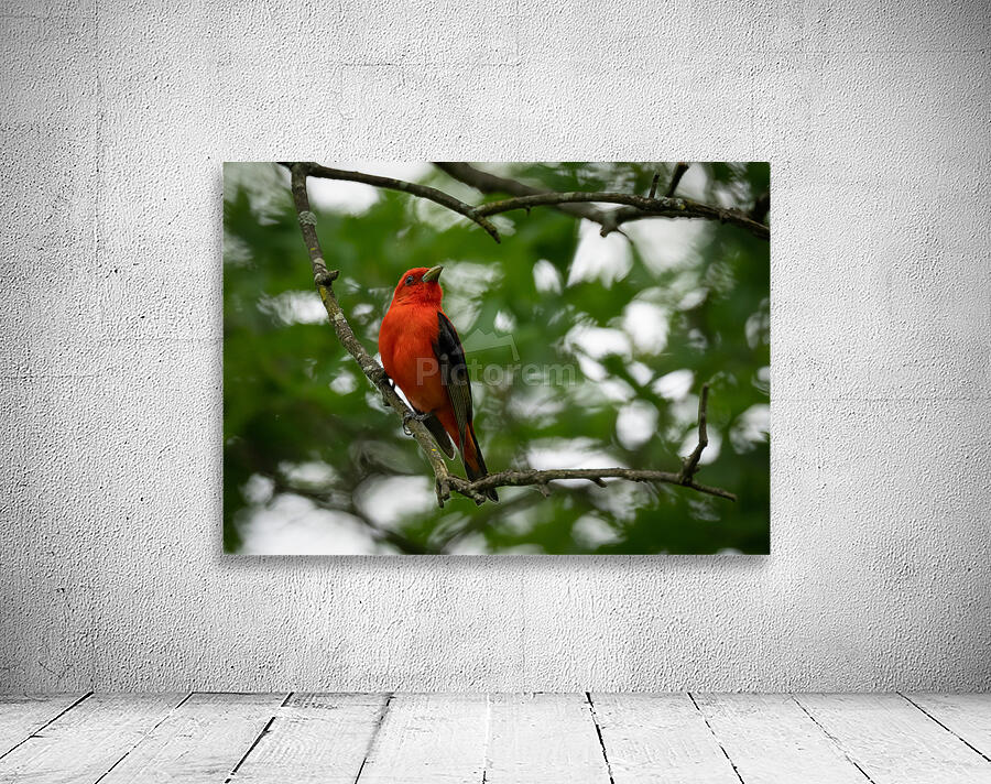 DSC05272 Edit Wall Preview