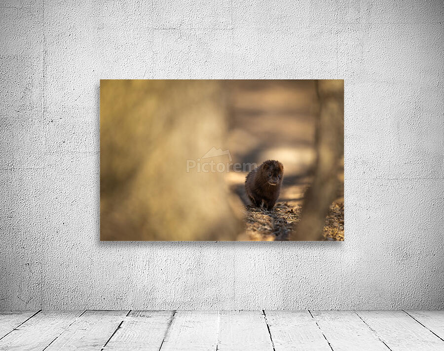 A29I4120 Edit Wall Preview