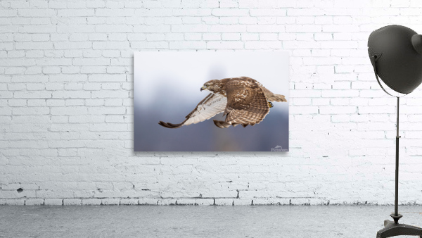 A66I2576 Edit 4 Wall Preview