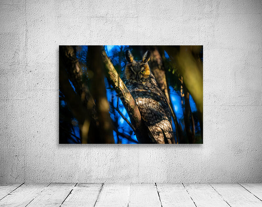 A29I7447 Edit 2 Wall Preview