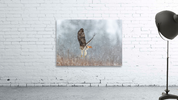A66I1098 Edit Wall Preview