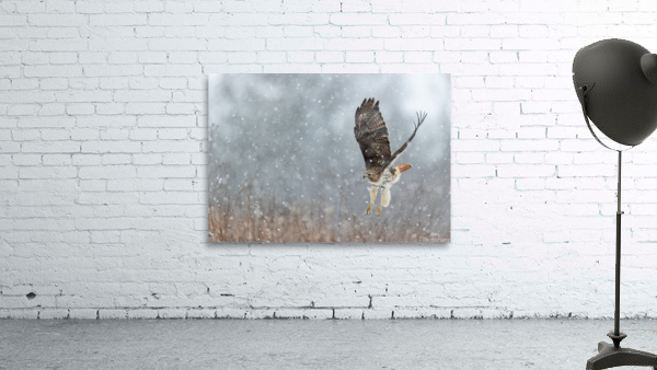 A66I1094 Edit Wall Preview