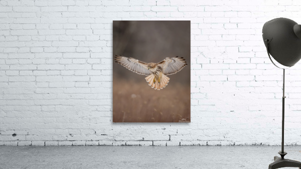A66I1444 Edit 2 Wall Preview