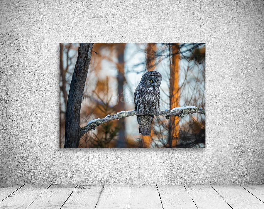 DSC08653 2 Edit 8 Wall Preview
