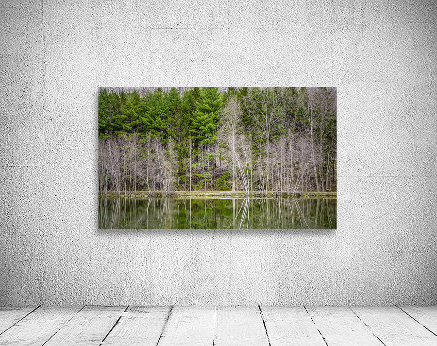 Evergreen Wall Preview