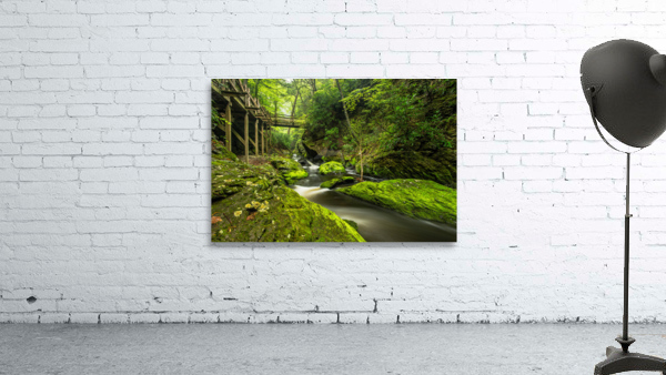 Go green Wall Preview