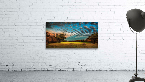 DP2L7294 Wall Preview