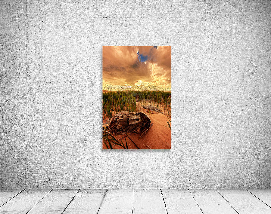 DP2L5942 Edit Wall Preview