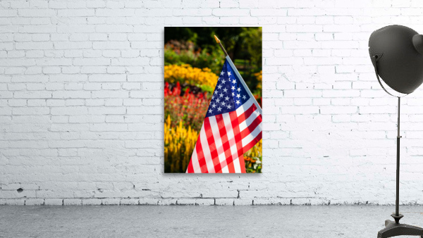 DP2L0280 Wall Preview