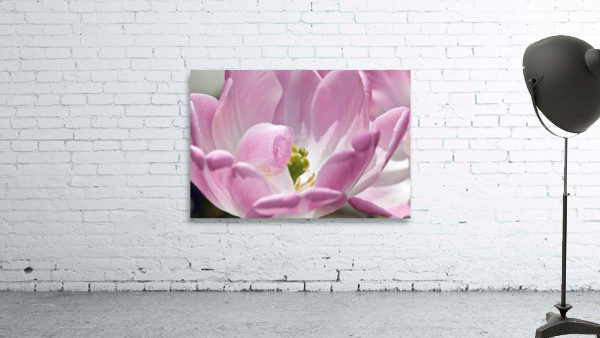 DP2L4003 Wall Preview